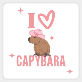 Capybara Preppy Aesthetic Magnet